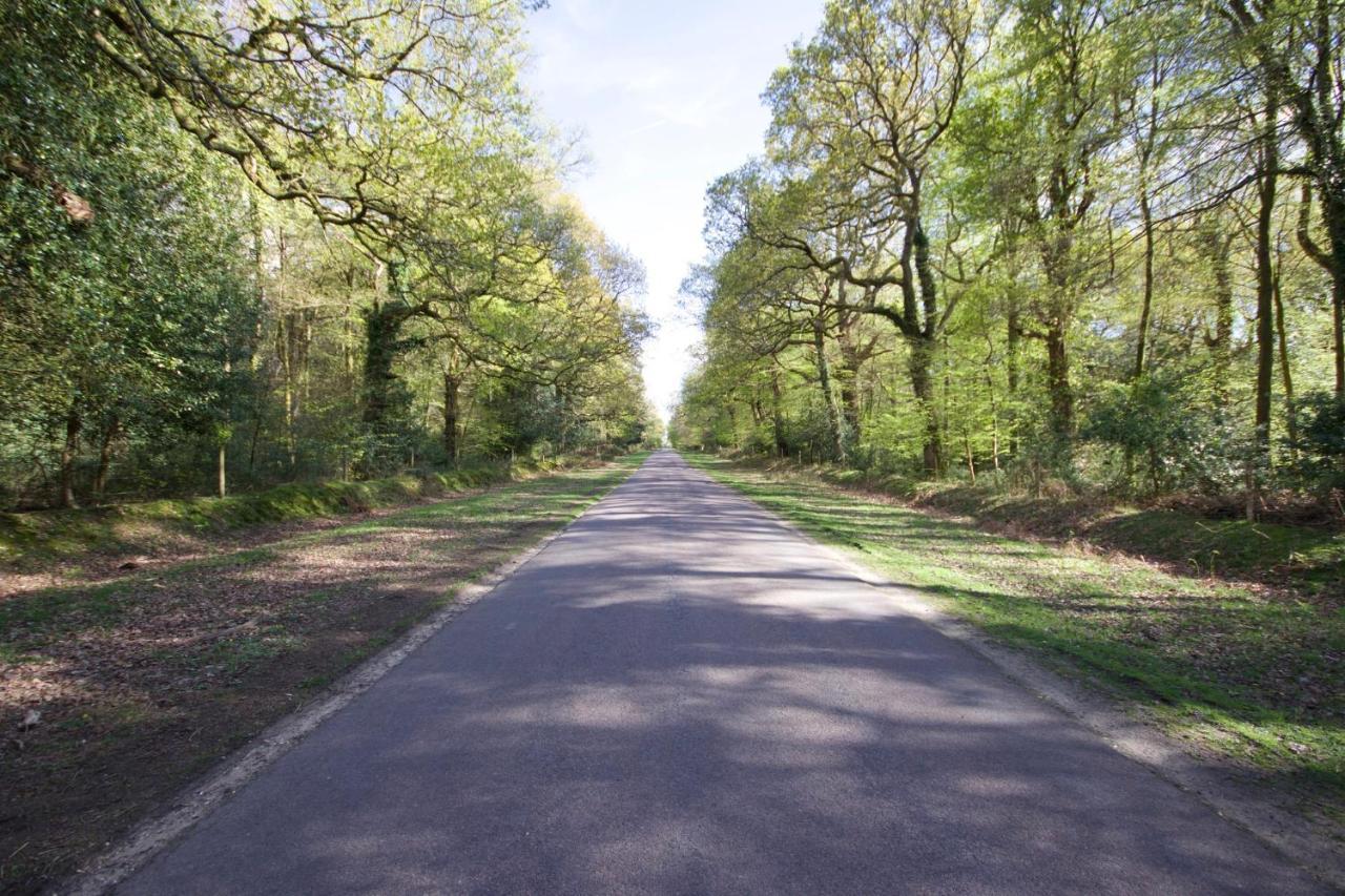 Avondale New Forest Godshill  外观 照片